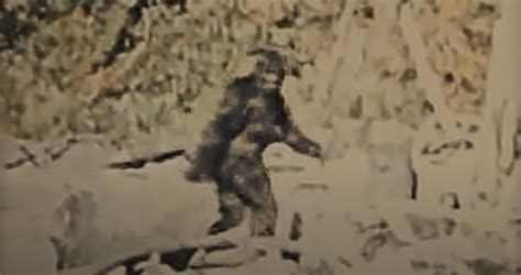 New Sasquatch Documentary Examines If Bigfoot Is A Serial Killer Who