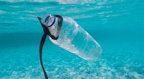 คาด 'ขยะพลาสติกในทะเล' อาจเพิ่มขึ้น 3 เท่าในปี 2040 - ศูนย์ข้อมูล&ข่าว ...