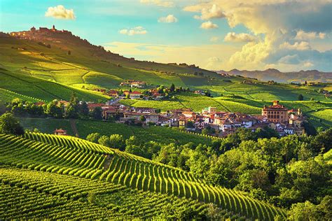 Langhe Vineyards Panorama Barolo Village Piedmont Italy Europ
