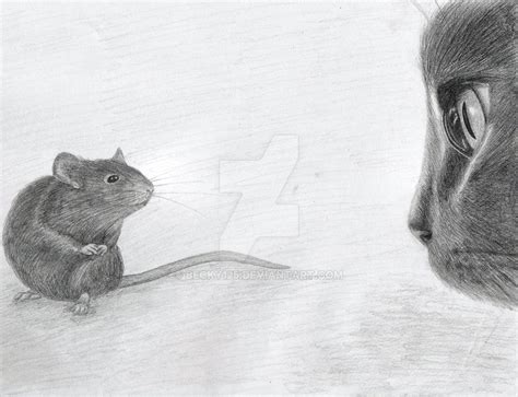 Cat And Mouse By Becky125 On Deviantart