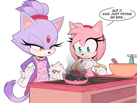 Safe Artist Toonsite Amy Rose Blaze The Cat Cooking Duo