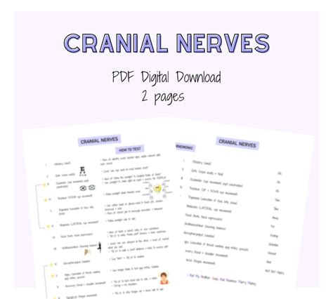 Cranial Nerves Neurological Nursing Notes Nursing Study Etsy
