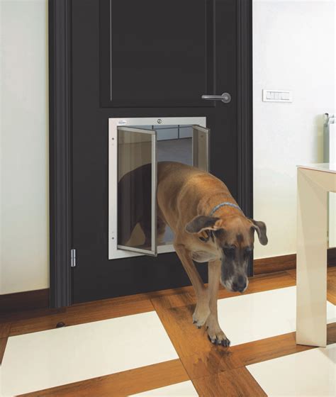 Supersized Dog Door By Plexidor Performance Pet Doors Pet Age