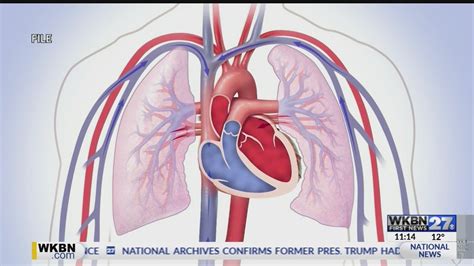 Expert Busts Heart Health Myths YouTube