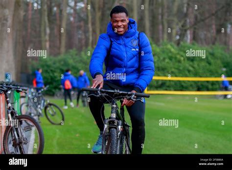 zeist netherlands march 25 denzel dumfries of holland during the training of holland at knvb