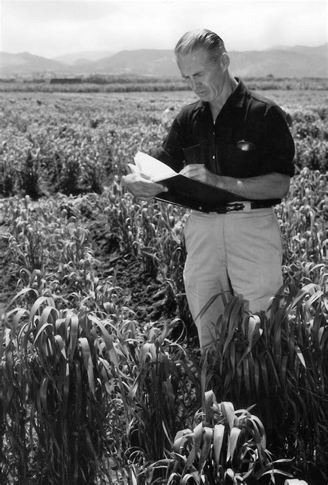 Dr Norman Borlaug Bgri Borlaug Global Rust Initiative