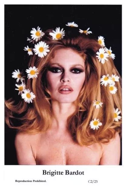 Brigitte Bardot Film Star Pin Up Photo Postcard C223 Swiftsure