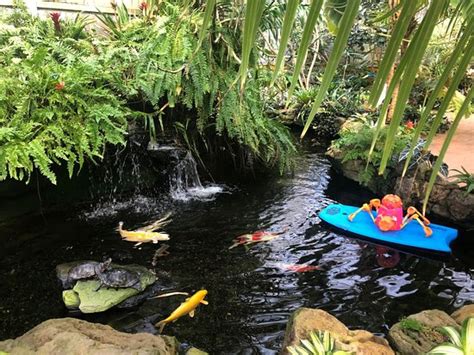 Sherman Library & Gardens (Corona del Mar) - 2020 All You Need to Know