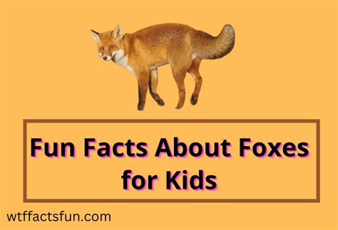 Top 15 Fun Facts About Foxes For Kids Fun Facts