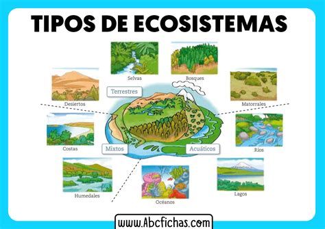 Clasificaci N Y Tipos De Ecosistemas Naturales