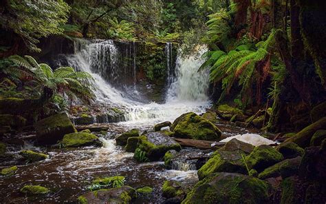 Waterfall In Australia Australia Tasmania Rocks National Park Moss