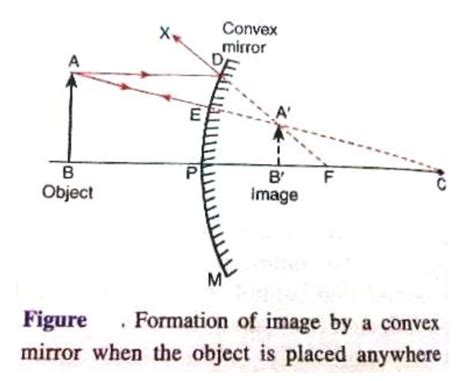 Draw A Labelled Diagram To Show The Formation Of Image In Convex Mirror My Xxx Hot Girl