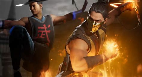 Finally, Mortal Kombat will let you team up Sub-Zero with Sub-Zero | PC