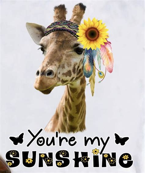 Pin By Jeanie Cacopardo On I Love Giraffes Giraffe Pictures Funny