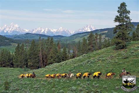 Wyoming Pack Trips Near Jackson Hole Wy Yellowstone Outfitters