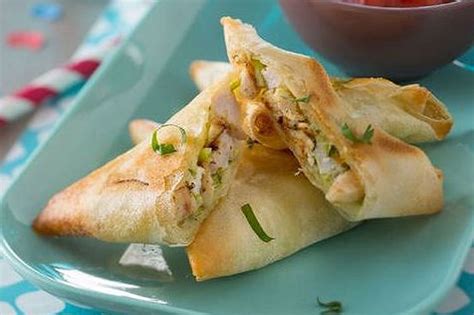 75 recettes avec de la feuille de brick