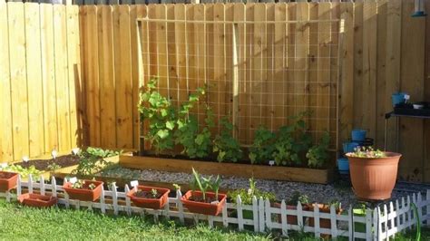 Using a trellis to support your cucumber plants, or other vining vegetables, is the best way to grow beautiful and tasty cucumbers. Cucumber Trellis for Under $20 | Hometalk