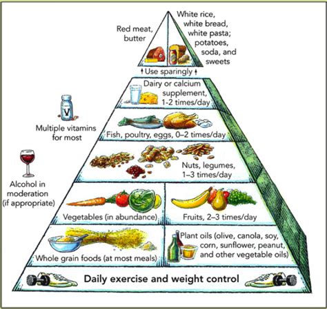 Harvard Food Pyramid
