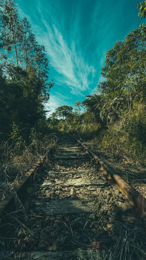 11++ Nature 4k Wallpapers Phone - Basty Wallpaper