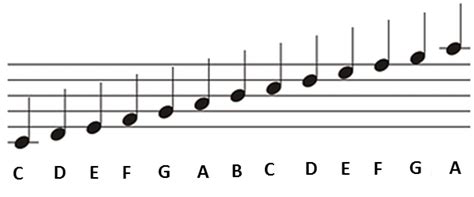 This lesson for beginners covers how to read sheet music notes and find them. Learn How to Read Sheet Music | Simplifying Theory