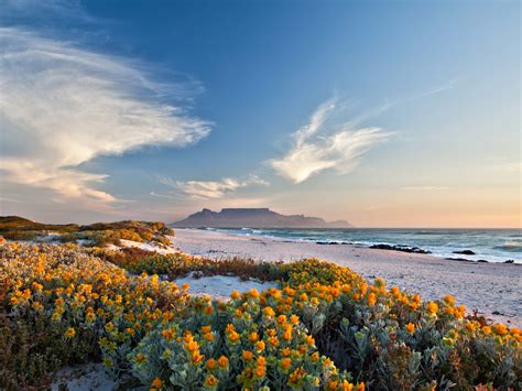 Scenic View Of Table Mountain Cape Town South Africa From