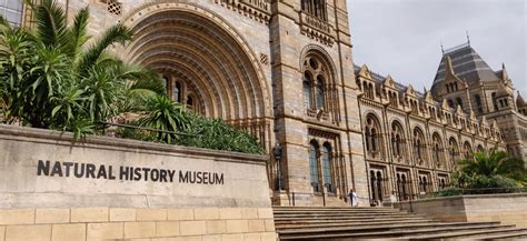 Natural History Museum In London Guide 2023