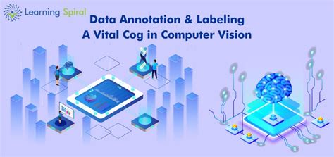 Data Annotation Data Labeling Company