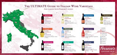 The Ultimate Guide To Italian Wine Varietals Ferraros