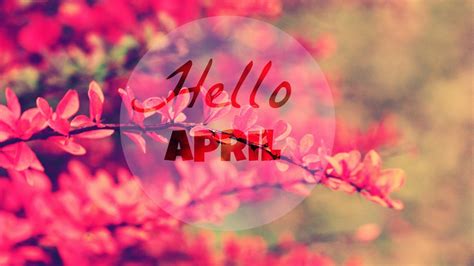 April Flowers Hello And Hello April Image 2688613 On