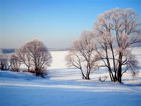 44 High Definition Winter Scenes Wallpaper Wallpapersafari