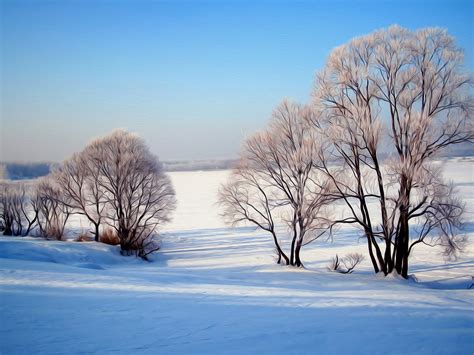 Download for free and use in your next advertisement, commercial project or social media post. High Definition Winter Scenes Wallpaper - WallpaperSafari