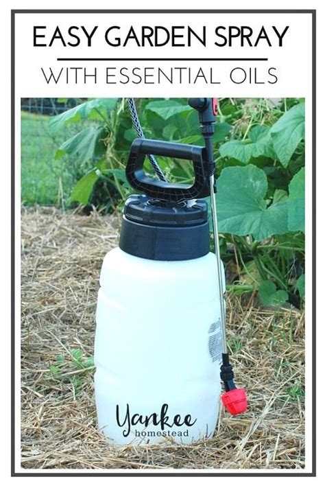 5 Homemade Bug Spray Recipes For Your Garden Bug Spray Recipe