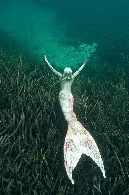Momentan spielen wir in verschiedensten konstellationen abends on stream among us! Meet a real-life mermaid | Echte meerjungfrauen ...