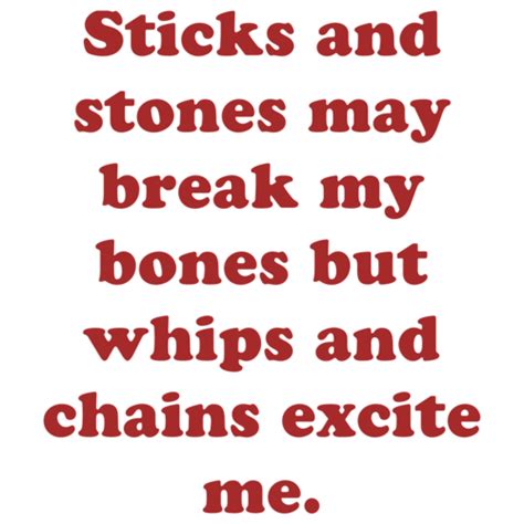Sticks And Stones May Break My Bones But Whips And Chains Excite Me Shirt