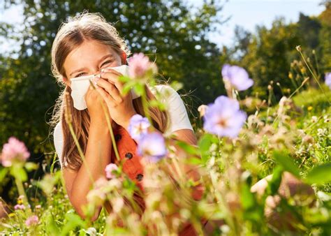 Allergie au pollen 5 plantes utiles pour apaiser les symptômes