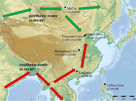 Early Human Settlements In East Asia Hla Molecular Variation Population Expansions And