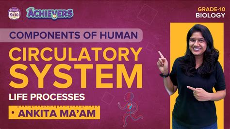 Components Of Human Circulatory System Life Processes Class 10