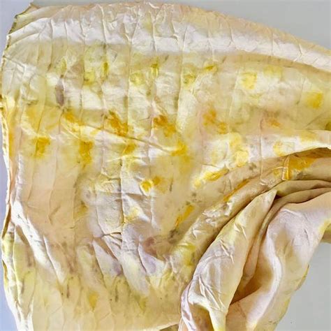 Using the pit and the skin, i will give you tips on how to create beautiful colours from this wonderful fruit. How to Dye with Avocado on Silk - HILARY L HAHN | Avocado ...