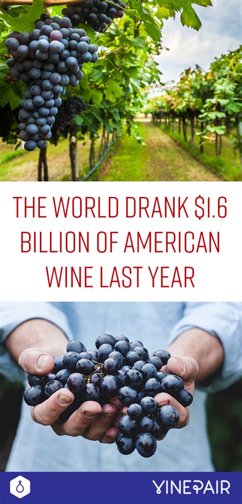 The World Drank 16 Billion Of American Wine Last Year Vinepair