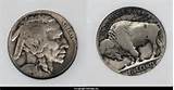 Buffalo Head Nickel Silver Value Images
