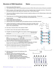 Visit study.com for thousands more videos like this one. DNA Structure Worksheet