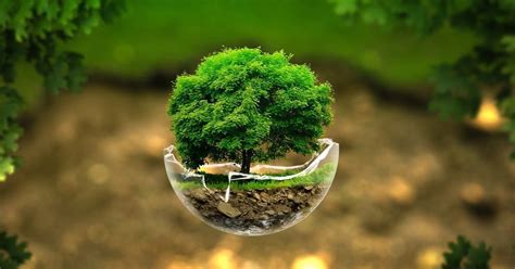 National pollution control day 2020: National Pollution Control Day 2019 - 1200x630 - Download ...