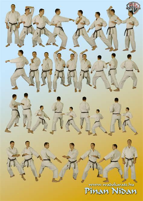 Karate Kata Turkey Male Team Kata Bunkai Kata Unsu Bronze Medal This Is The Most
