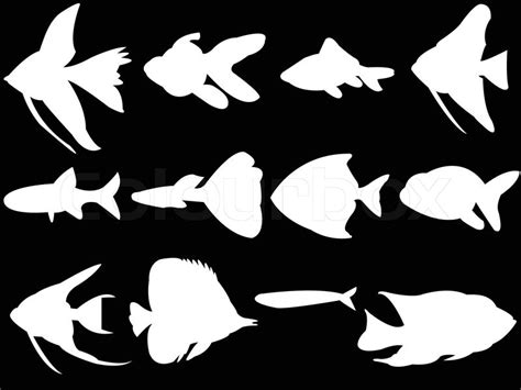 White Fish On Black Background Collection Silhouette Vector Stock