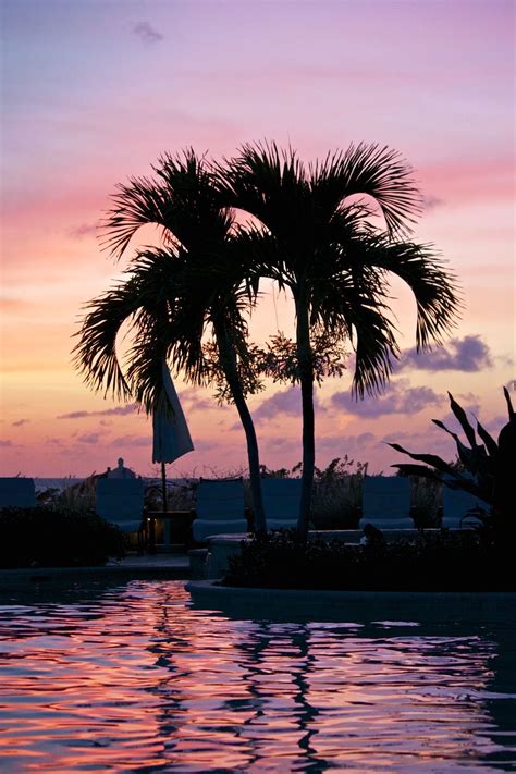 We specialize in fish tacos. The Caribbean Gallery — Nomad Infinitum | Caribbean ...