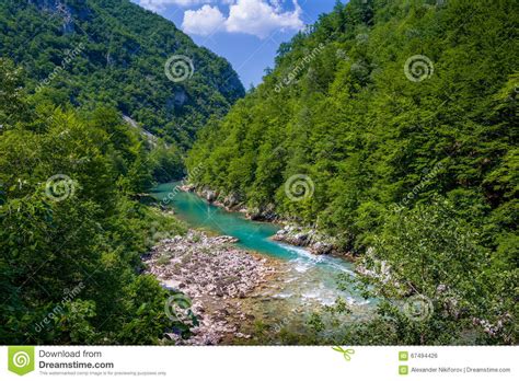 Canyon Of Mountain River Tara Stock Photo Image Of Montenegro