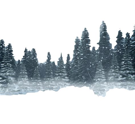 Snow Forest Winter Forest Png Download 800735 Free Transparent