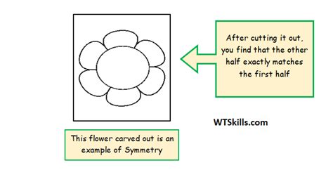 What Is Symmetry Definition Facts And Examples Zohal