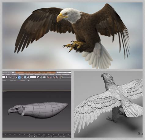 Watch 3d Artist Missset Create An American Bald Eagle Model In 3ds Max
