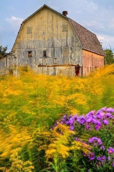 Weathered Barn And Wildflowers Old Barns Barn Pictures Country Barns